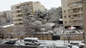 بارش برف در باغستان کرج