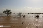 تابناک