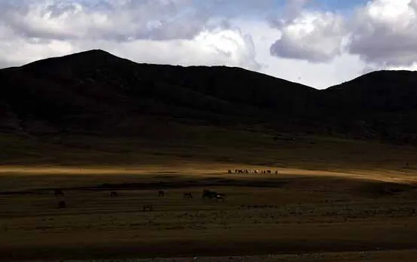 مغولستان به رغم این که کشور پهناوری است، یکی از کم&zwnj;تراکم&zwnj;ترین کشورهای جهان است. به همین دلیل، این کشور پوشیده از استپ&zwnj;های زیباست و یکی از وحشی&zwnj;ترین مناطق طبیعی جهان به شمار می&zwnj;آید.
David Gray / Reuters
