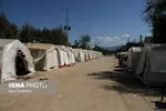 پلدختر 