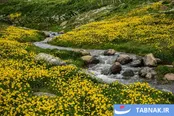 عکس: جاده‌ای میان دو اقلیم