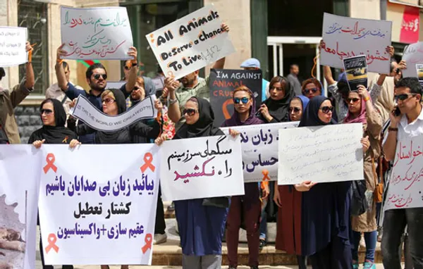 تابناک
