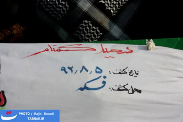 پروانه