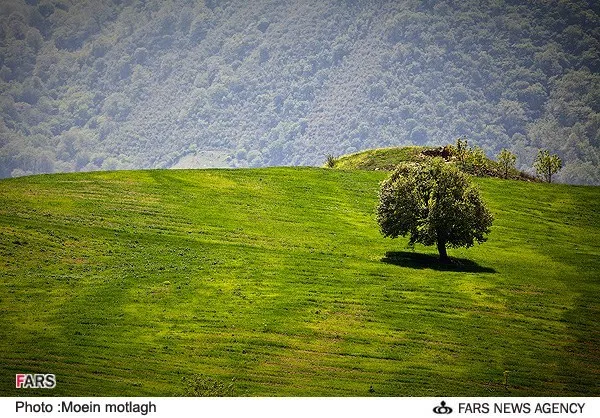 طبیعت بهاری استان گلستان
