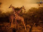 Best of February 2012