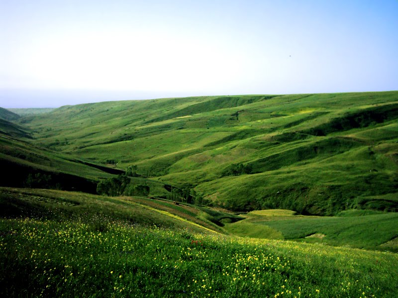 مغان