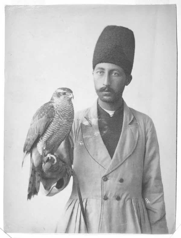 شکارچی