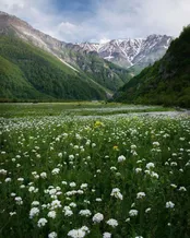 زیبایی‌های دشت دریاسر تنکابن