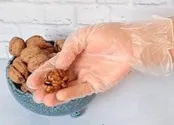 روش تبدیل گردو پوست سنگی به پوست کاغذی