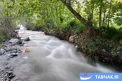 عکس: طبیعت بهاری «طارُم»، هندوستان ایران