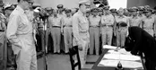 مراسم تسلیم ژاپن به بریتانیا / حمله هوایی به ناپل / کمپین چهار آفت، یا کمپین گنجشک در چین / لحظات سانحه هیندنبورگ