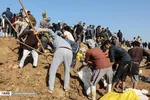 تابناک