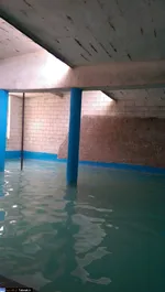 تابناک