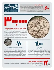 300 هزار هکتار در معرض هجوم ملخ ها
