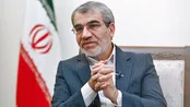 اظهارات کدخدایی درباره تدوین قانون تجمعات