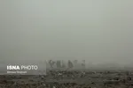 تابناک