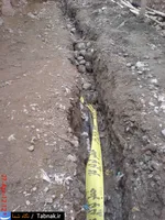 تابناک