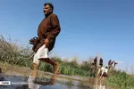 تابناک