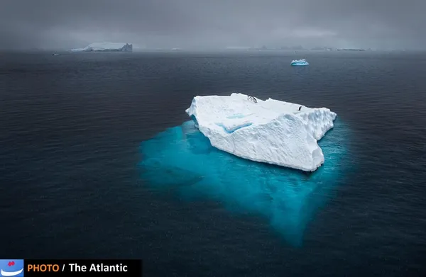 Joshua Holko/National Geographic Photo Contest