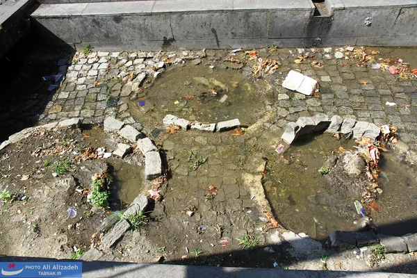 سنگ چینی عجیب پیمانکار نشان می دهد ظاهراً به احترام تنه ای که قبلاً بوده جایی به آن اختصاص داده که بعداً اثری از بقایای درخت باقی نمانده!