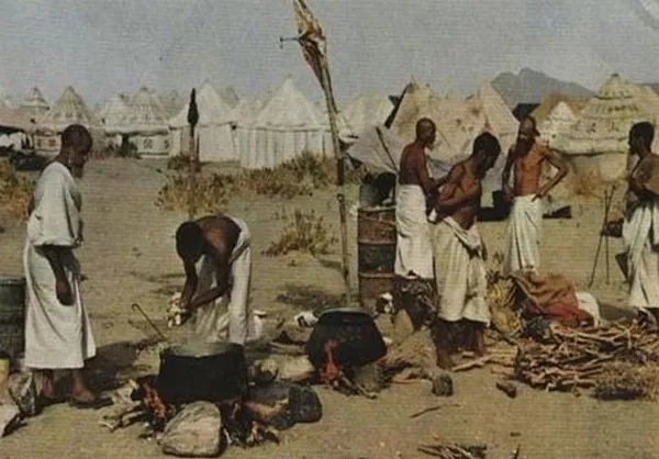 پخت غذا توسط خود حجاج در روز عرفه