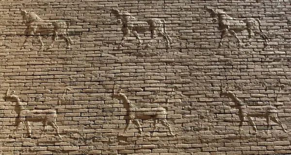 آثار باستانی منحصر بفرد از دوران بابِل در نزدیکی حله در جنوب بغداد که ممکن است با توجه به تهدیدات تکفیریها در این منطقه، بعدها در معرض آسیب و نابودی قرار گیرد./Reuters
