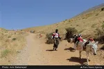 تابناک