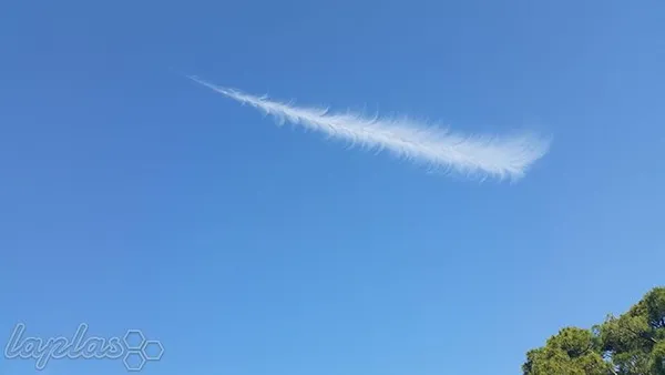 پر