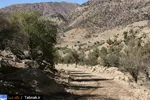 تابناک
