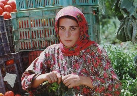 از مش‌حسن تا حاج کاظم؛ بازیگرانی که نقش‌هایشان از سینما جلو زدند/ مروری بر ماندگارترین نقش‌های سینمای ایران