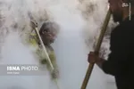101