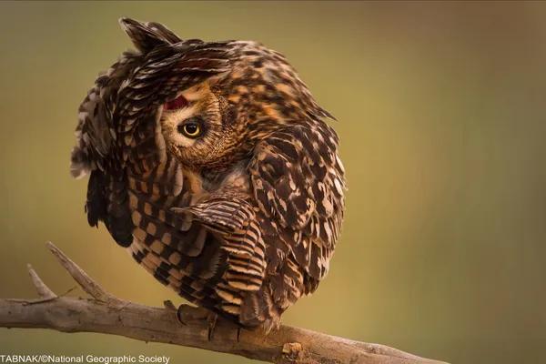  (&copy; Mohd Khorshid/National Geographic Traveler Photo Contest)