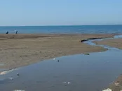 شرنگ شیرابه در کام خزر