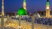 حبیبی ؛ سجاد محمدی