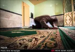 تابناک