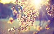 «هفته عشق» بنیامین بهادری / کوارتت سازهای زهی / «حس عاشقی» حامد همایون / «به نگاهم بنگر» محمد معتمدی / چگونه در مشکلات با انگیزه بمانیم؟