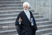 انصاری: شنیدن کافی نیست، باید خواست ملت را فهمید