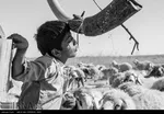تابناک