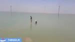 ماهیگیری