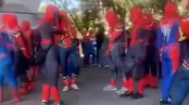 تصاویر تجمع اسپایدرمن‌ها در تهران!