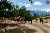 تصویری از اروپایی‌ها و همراهان ایرانی‌شان در تجریش
