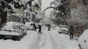 شوق برف بازی در یک روز زمستانی