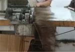 تابناک