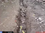 تابناک