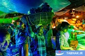 عکس:زندگی در قلب شلوغ‌ترین پایتخت جهان