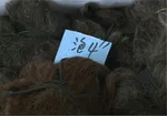 تابناک