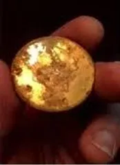 گنج ده میلیون دلاری حاصل پیاده‌روی زوج آمریکایی