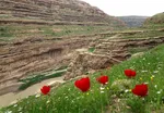 تابناک