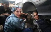 زنان مکانیک تهرانی به دنبال راه‌اندازی گاراژ
