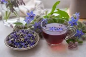 چرا گل گاوزبان حریف اضطراب های ما نمی‌شود؟